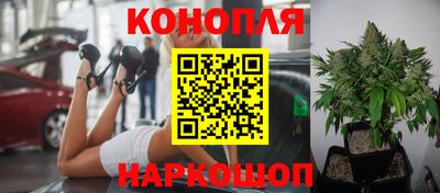 PSILOCYBIN Донецк
