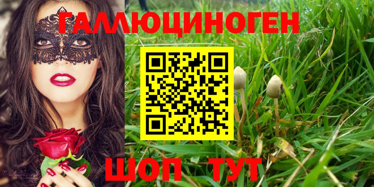 Мценск  Псилоцибиновые грибы мухоморы  Вход с VPN  Псилоцибиновые грибы Psilocybe 